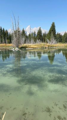 Schwabacher Landing by null