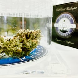Platinum Girl Scout Cookies grown by Seattle Private Reserve.  *Required Disclaimer* see specialties tab