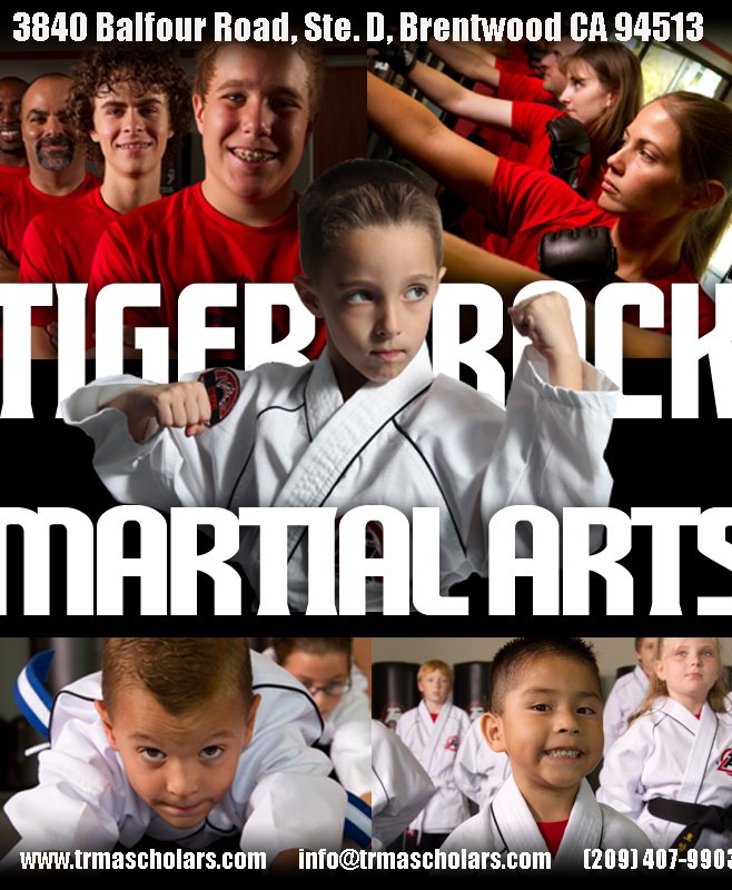 TIGERROCK MARTIAL ARTS SCHOLARS Updated September 2024 82 Photos