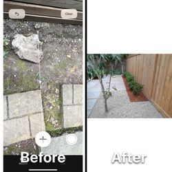 Max's Landscaping Services - Backyard design.