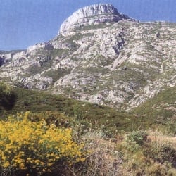 The spirit of hills...