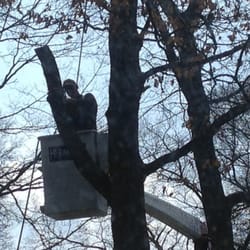 Clear View Tree Service