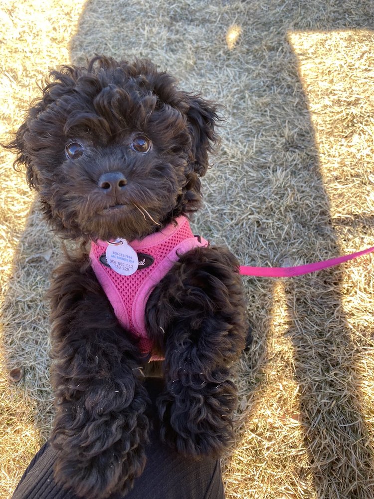 AQUATIC DOG 46 Photos & 56 Reviews 7429 E Iliff Ave, Denver, CO Yelp