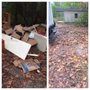 Photo of Gainesville Junk Removal