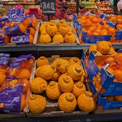Target - They have Sumo Citrus (Sumo Mandarin, dekopon). $3.49 per pound. This is one of my favorite fruits.
