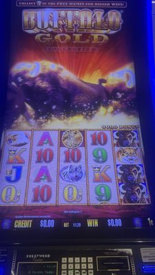 Hollywood Casino & Hotel Joliet by null