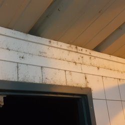 Hesperia Lake Park & Campground - Spiderwebs everywhere. The employees don't care or never look up. I wish I hadn't.