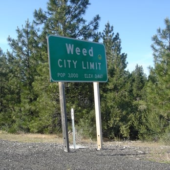 McDonald's - Weed, CA - Fast Food Near Me - Weed, California McDonald's - Weed, CA - Fast Food Near Me - Weed, California