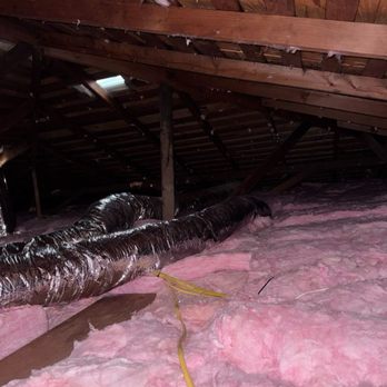 Attical Insulation and Rodents - Insulation Installation Near Me Attical Insulation and Rodents - Insulation Installation Near Me