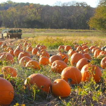 Homestead Farm - Fruits & Veggies Near Me - Poolesville, Maryland