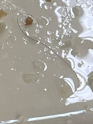 Break of Dawn Cafe by null