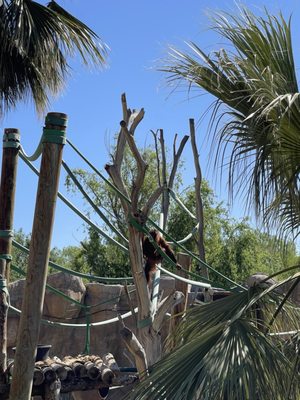 El Paso Zoo and Botanical Gardens by null