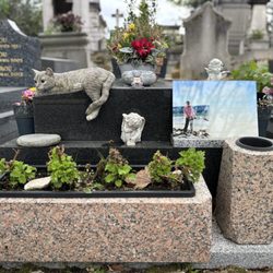 Cimetière du Montparnasse - We thought this cat was real!