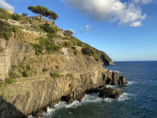Riomaggiore by null