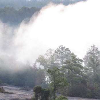 Davidson-Arabia Nature Preserve - Parks Near Me - Lithonia, Georgia