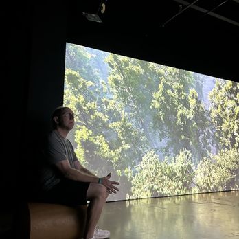 Mad Arts - Relax at the forest - Art Museums Near Me - Dania Beach, Florida