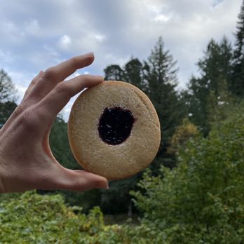 Alchemist’s Jam - Lemon blueberry shortbread - Bakeries Near Me - McMinnville, Oregon