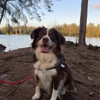 Wolf Lake Park - Parks Near Me - Davie, Florida