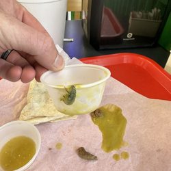 Alfredo's Mexican Food - Absolutely disappointed.