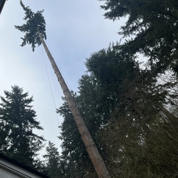MTS Tree & Landscape - Landscaping Near Me - Issaquah, Washington MTS Tree & Landscape - Landscaping Near Me - Issaquah, Washington