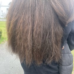 Dellaria Salons Danvers - Bad hair, doesn't know who to do hair!