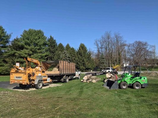 TOP NOTCH TREE AND LANDSCAPE - Updated April 2025 - 20 Photos ...