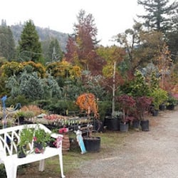 Applegate Nursery