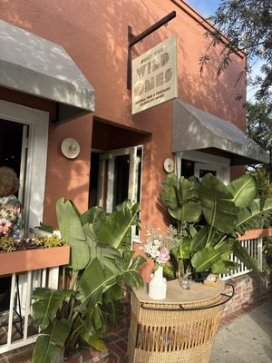 Only The Wild Ones by null