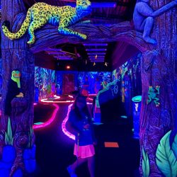 Rainforest Black Light Golf & Arcade - Everything glows!