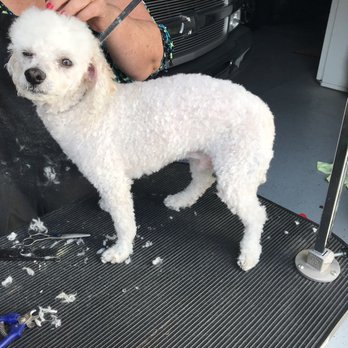 Pet Love Grooming - Pet Groomers Near Me - Bakersfield, California Pet Love Grooming - Pet Groomers Near Me - Bakersfield, California