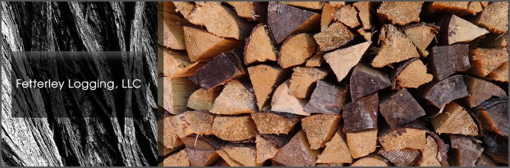 Fetterley Logging - tree service in Delton, MI