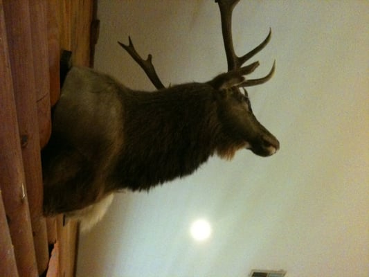 Wanda's Restaurant by null