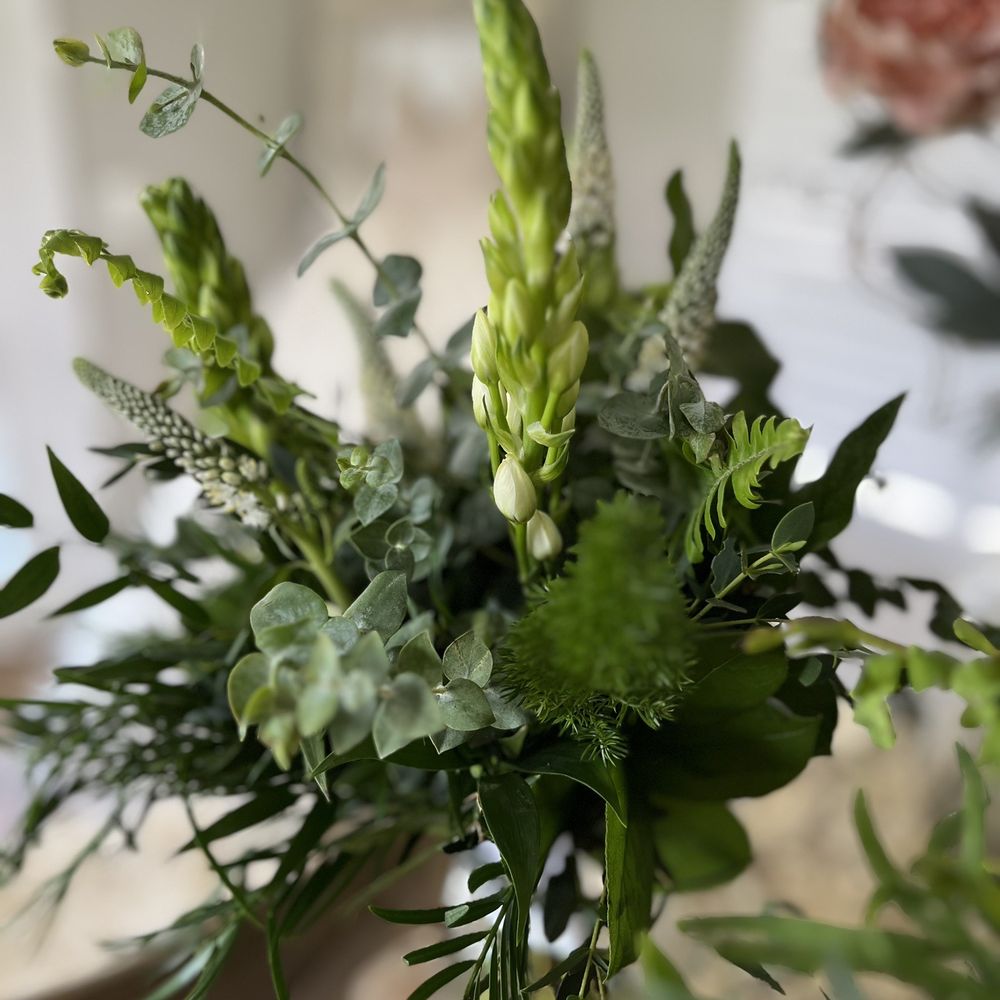 Flower Delivery South Daytona Florida Best Flower Site