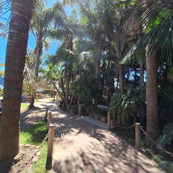 Padaro Beach Grill - Island vibes - American Near Me - Carpinteria, California