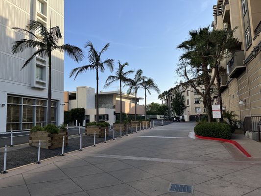 Custom Hotel by null