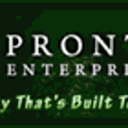 Pronto Enterprises - Logo