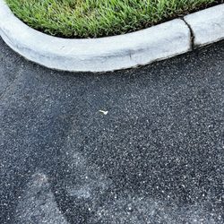 The Addison on Long Bayou - Cigarette butts on property although per lease it is a "smoke free community" what a joke! Management does nothing to enforce the rules!