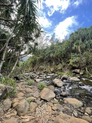 Ha'ena State Park by null