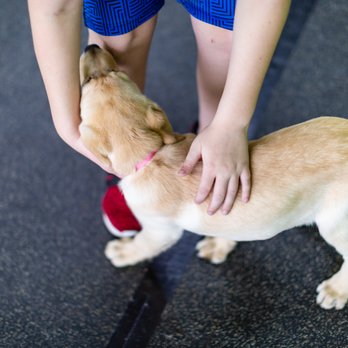 Quinntastic Dog Training - Pet Training Near Me - Denton, Texas