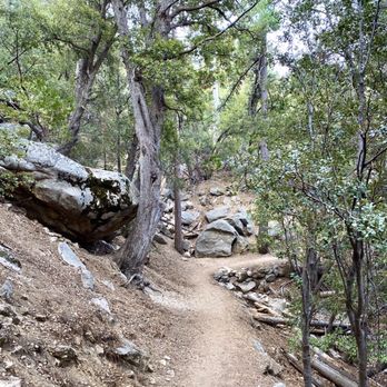 Ernie Maxwell Scenic Trail - Hiking Near Me