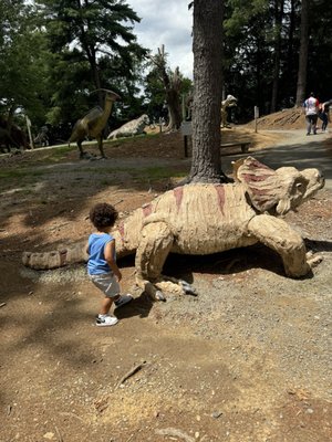 Dinosaur Land by null