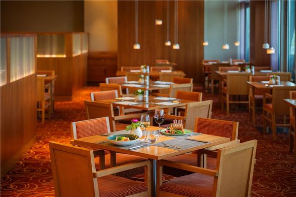 Hilton Frankfurt Airport by null