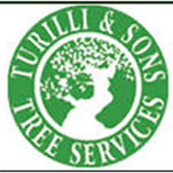 Turilli & Sons Tree Service - Turilli & Sons Tree Service logo