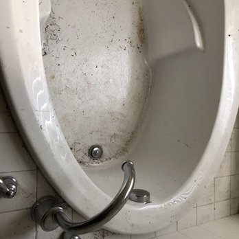 Mariely Ribeiro Cleaning - Home Cleaning Near Me Mariely Ribeiro Cleaning - Home Cleaning Near Me