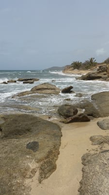 The Vieques Guesthouse by null
