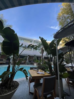 Avalon Hotel Beverly Hills by null