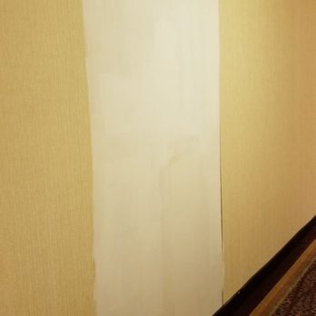 Emory Conference Center Hotel - Painted over water leak/mold - Hotels Near Me - Atlanta, Georgia Emory Conference Center Hotel - Painted over water leak/mold - Hotels Near Me - Atlanta, Georgia