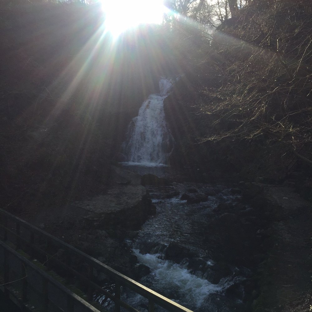 Gleno Park & Waterfall - Waterfall - Dog Parks Near Me - Larne, LRN
