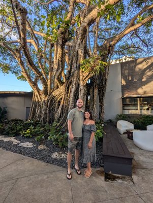 Chima Steakhouse Fort Lauderdale by null