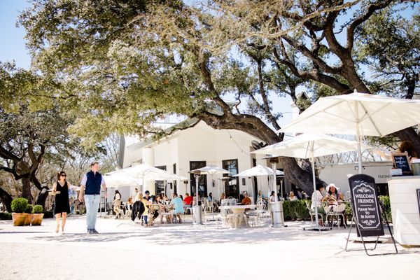 Signor Vineyards by null